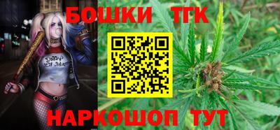 тгк Будённовск